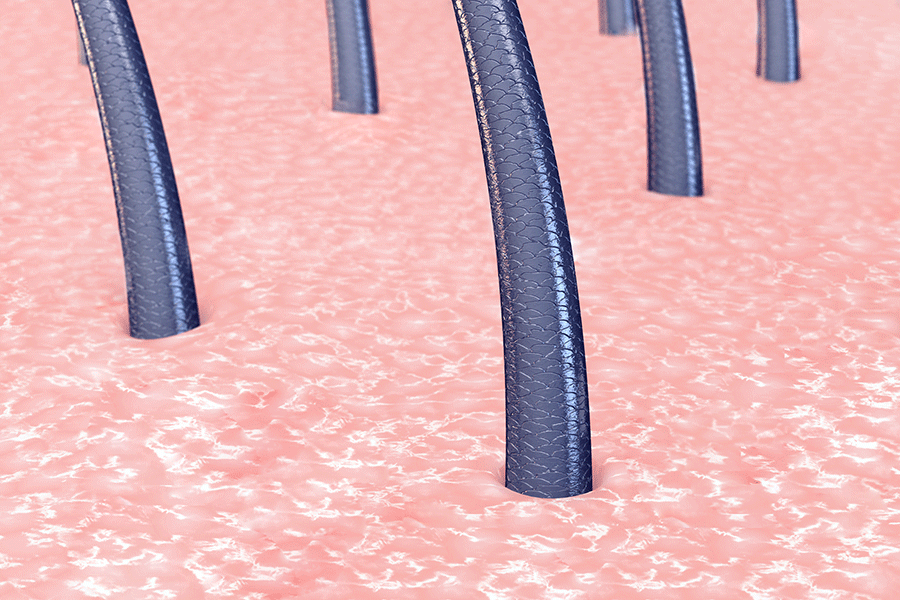 7ba42542ac6d3b8c384a2948f0d72089_1631803402_6934.gif