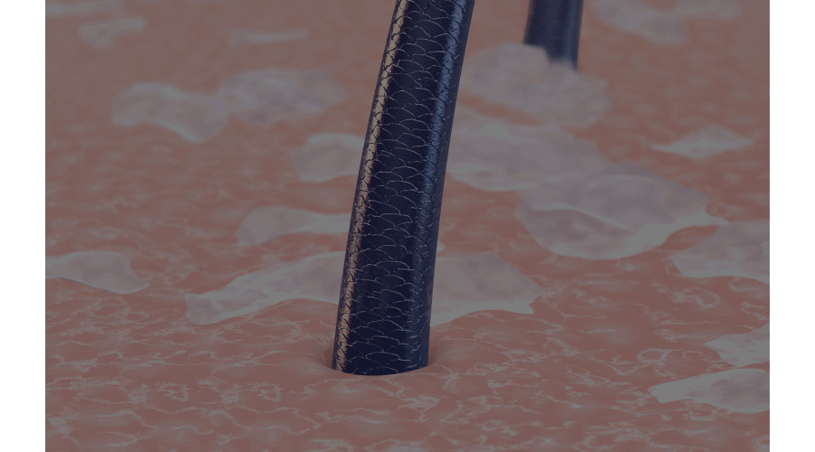 7ba42542ac6d3b8c384a2948f0d72089_1631803403_1581.gif