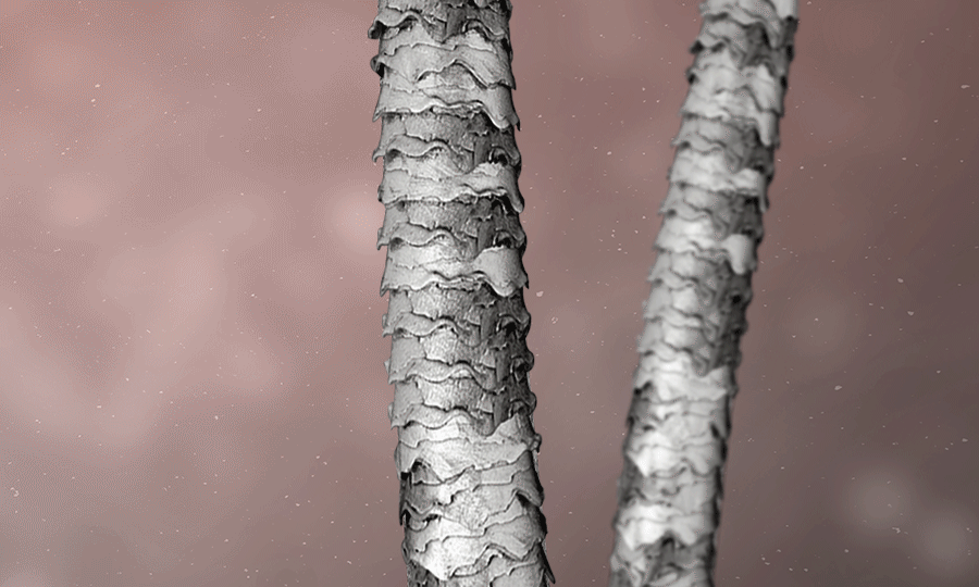 59e74df013acb6ee6802c2da17e3f659_1659054356_5482.gif