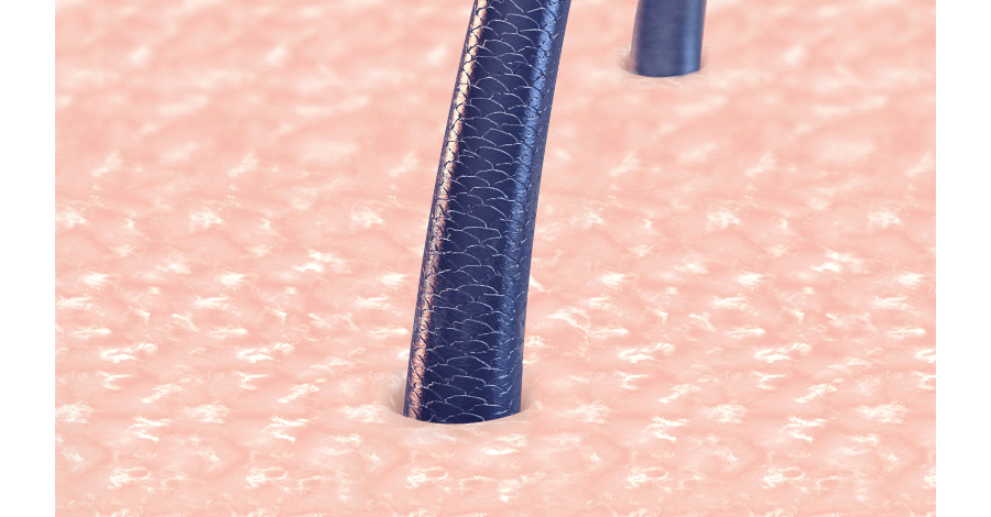 59e74df013acb6ee6802c2da17e3f659_1659054634_4946.gif