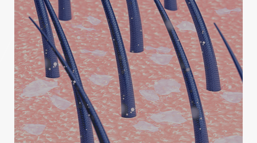 59e74df013acb6ee6802c2da17e3f659_1659054643_1675.gif